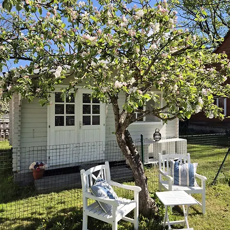 Apartment Elisabeth Pärnu